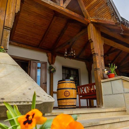 Casa Elena - Resort & Spa Voronet Exteriör bild